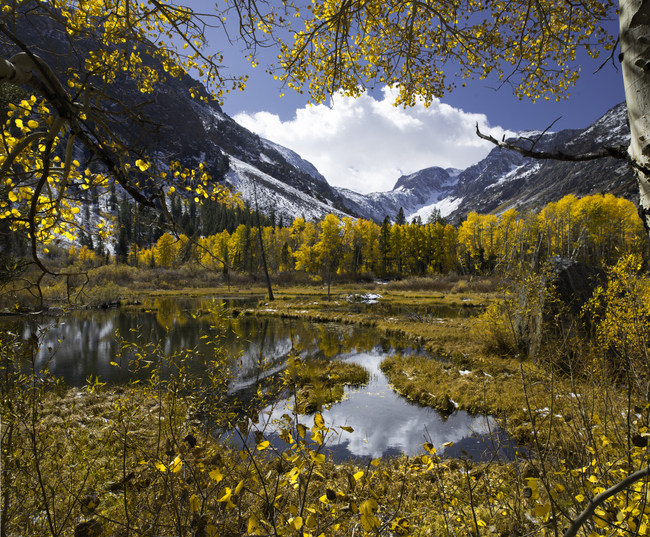 A view of Lundy Canyon