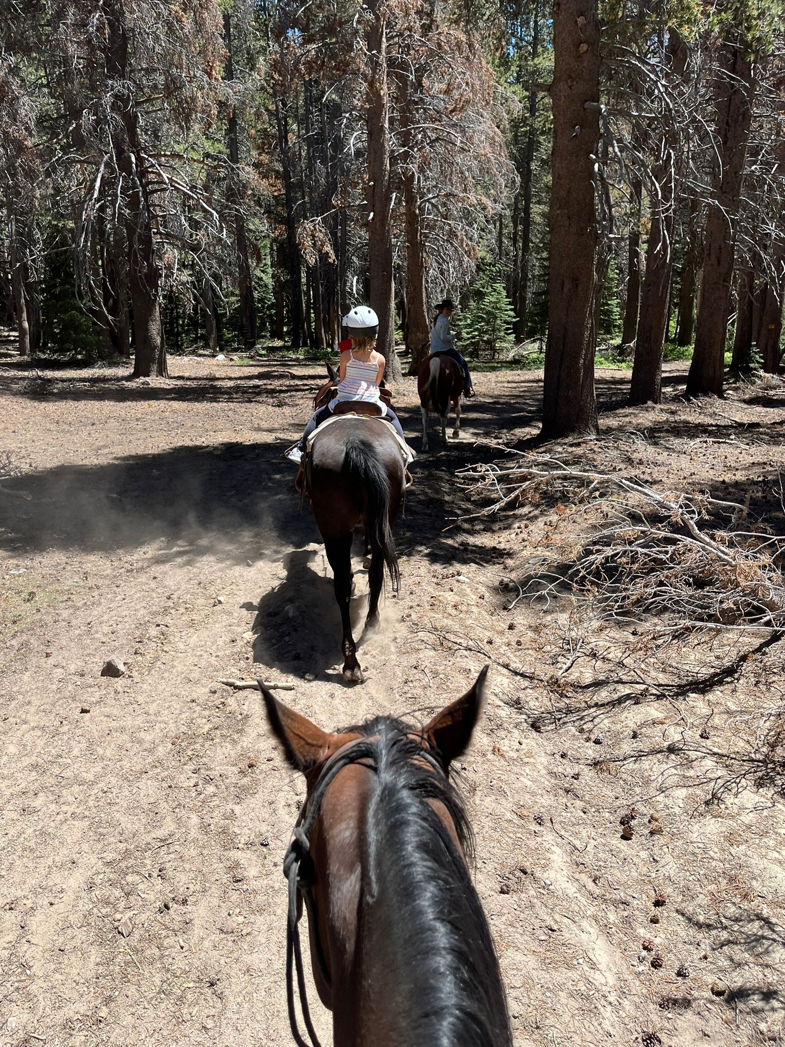 horseback riding in Mammoth Lakes